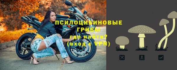 бошки Богданович