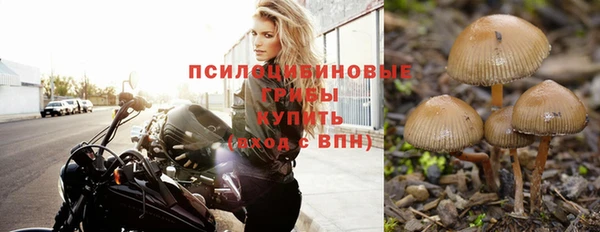 бошки Богданович