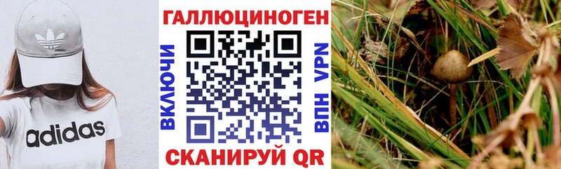 Псилоцибиновые грибы GOLDEN TEACHER  гидра сайт  Новосокольники 